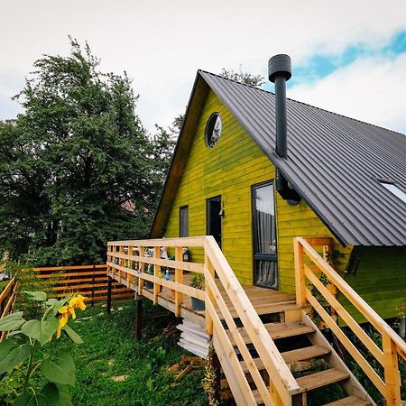 Wooden Cottage "Green House" In Bakuriani Exterior photo