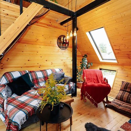 Wooden Cottage "Green House" In Bakuriani Exterior photo